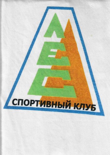 Логотип организации спортивный клуб "Лес"